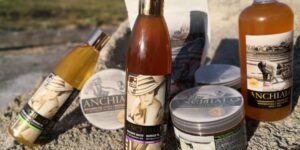 Шампоан, душ гел, луга и продукти за баня ANCHIALO в солниците